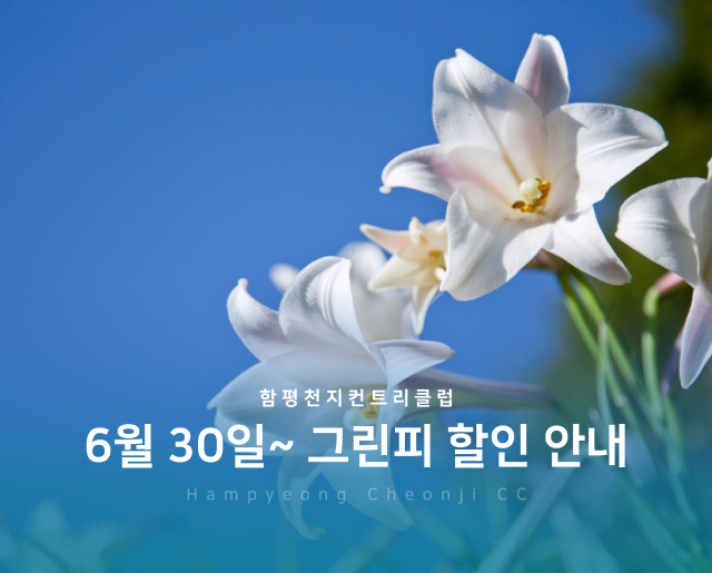 6월-30일~그린피