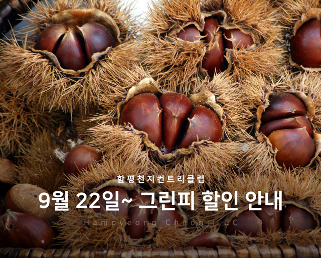 9월-22일~그린피