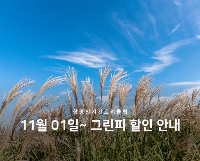 11월-1일~그린피