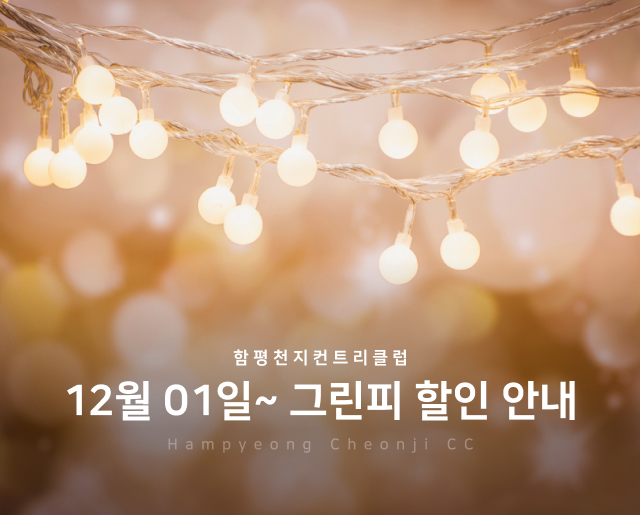 12월-1일~그린피